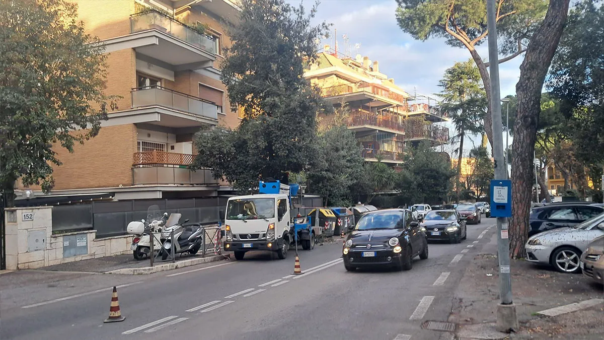 Lavori Potatura Viale Cortina d'Ampezzo Roma